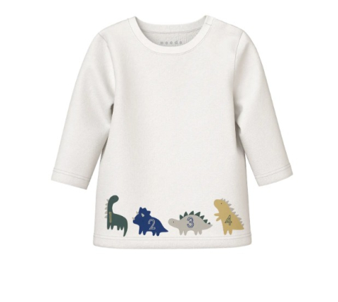 Name İt Dinozor &Ouml;nl&uuml;k Takım